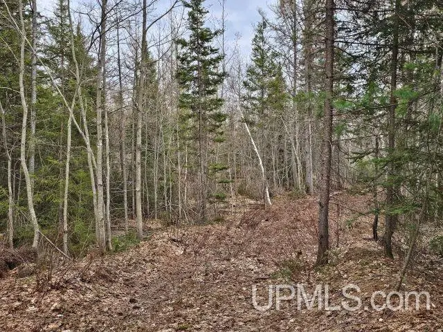 40 acres Off Co Rd Gx, Ishpeming, MI 49849 - #1