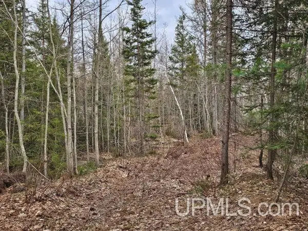 40 acres Off Co Rd Gx, Ishpeming, MI 49849