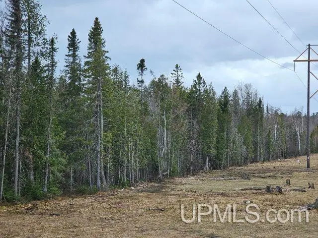 40 acres Off Co Rd Gx, Ishpeming, MI 49849 - #2