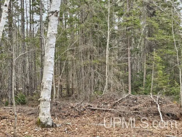40 acres Off Co Rd Gx, Ishpeming, MI 49849 - #3