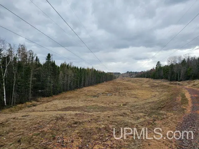 120 acres Off Co Rd Gx, Ishpeming, MI 49849 - #1