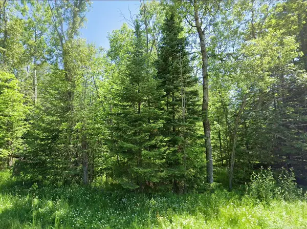 0 Sawyer, Rose City, MI 48654