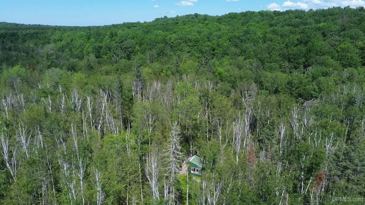Forest 13, Wetmore, MI 49895 - #1