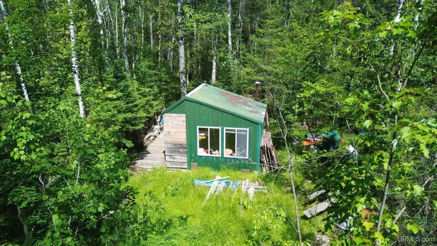 Forest 13, Wetmore, MI 49895 - #2