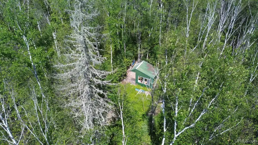 Forest 13, Wetmore, MI 49895 - #3