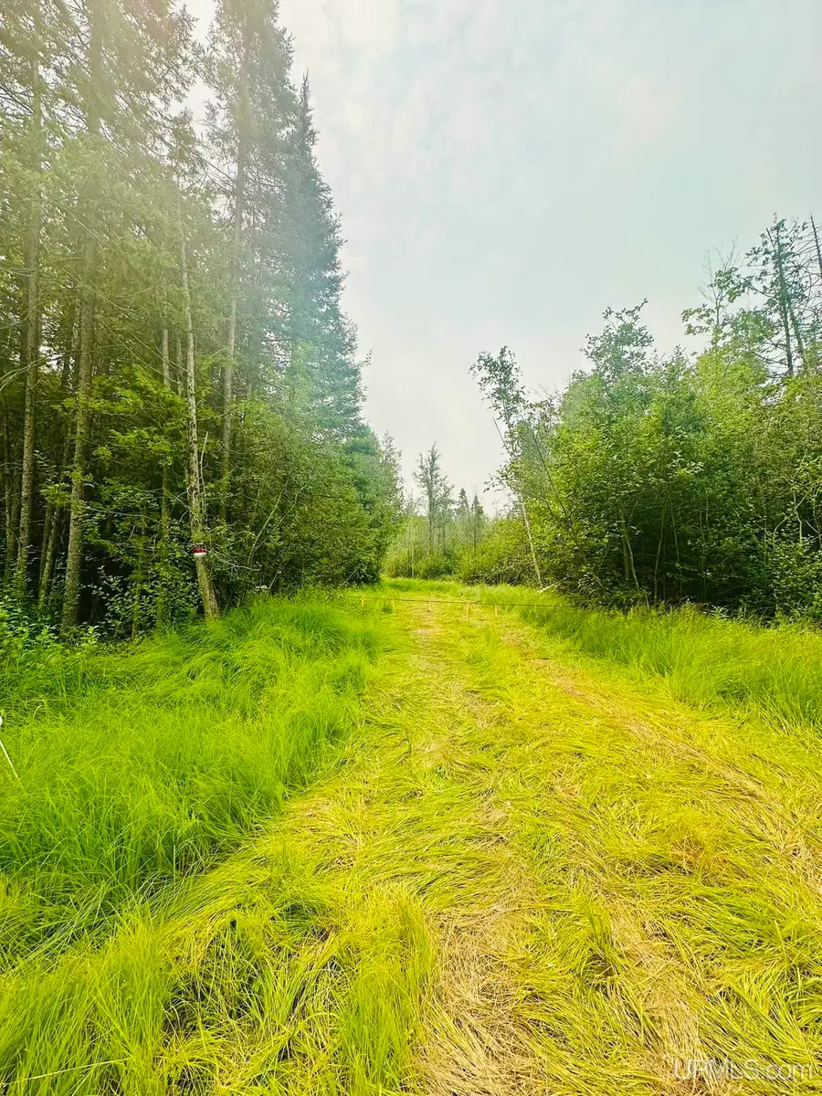 TBD I, Bark River, MI 49807 - #2