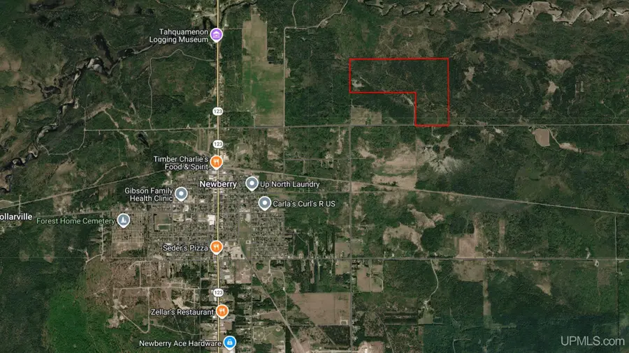 12322 Co Rd 462, Newberry, MI 49868 - #3