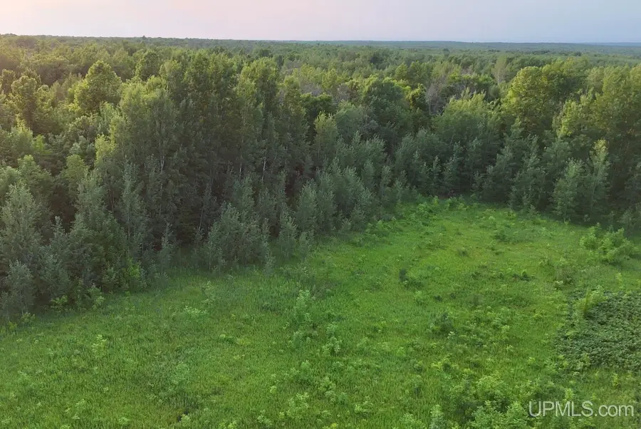 TBDN25 Firesteel, Ontonagon, MI 49953 - #2