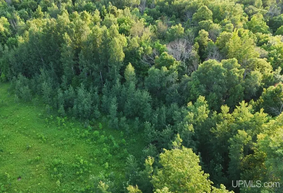 TBDN25 Firesteel, Ontonagon, MI 49953 - #3