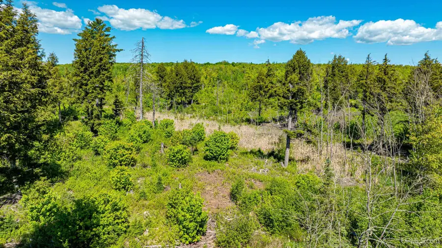 TBD 1 Pelkie, Pelkie, MI 49958 - #2