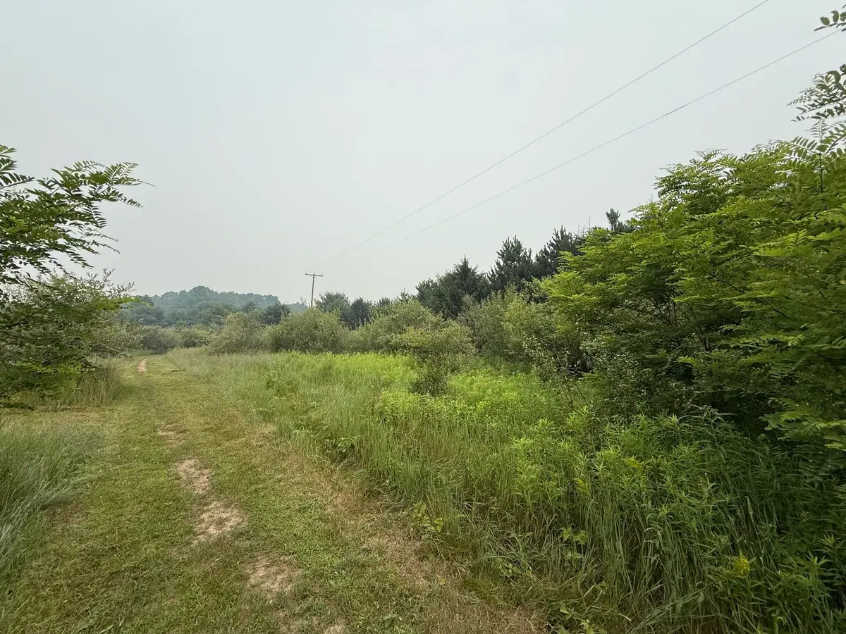 20 Acres E M-30, Alger, MI 48610 - #1