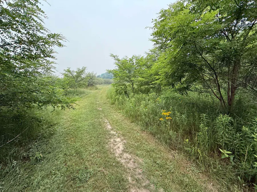 20 Acres E M-30, Alger, MI 48610 - #2