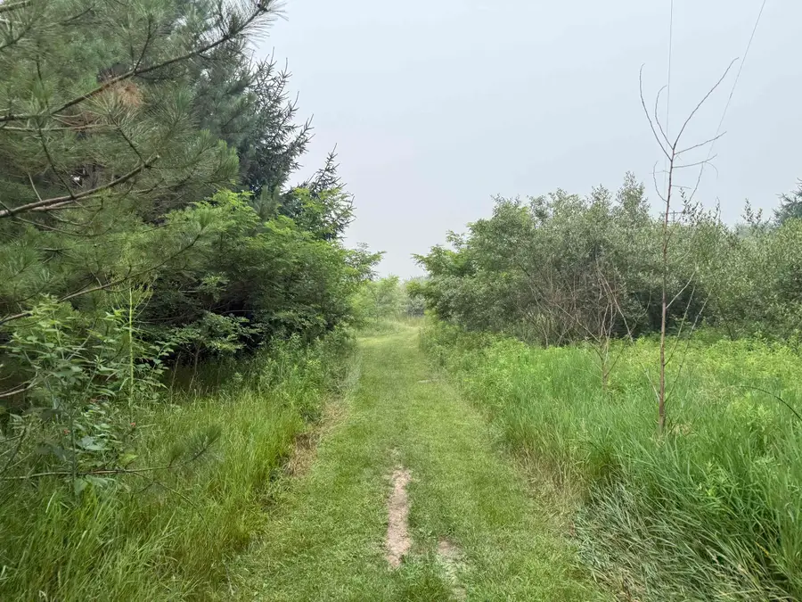 20 Acres E M-30, Alger, MI 48610 - #3