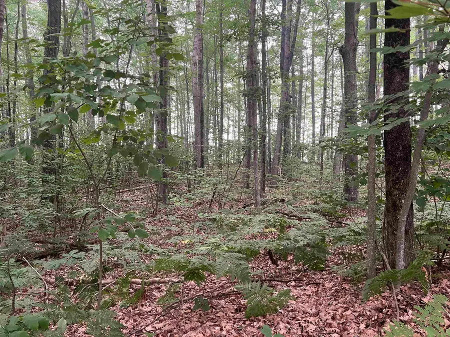 Lot 10 Hawthorn, Harrison, MI 48625 - #3