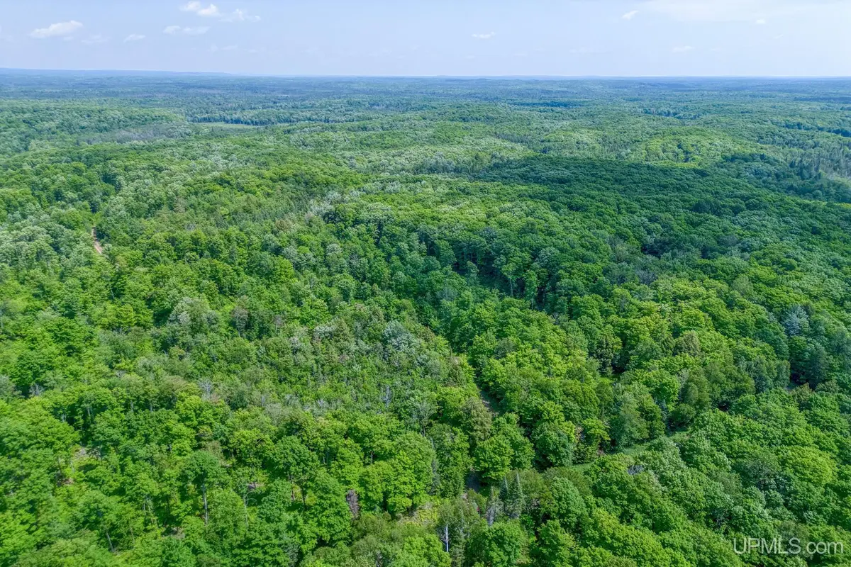 6881E Forest Road-lots 5-6, Marenisco, MI 49947 - #1