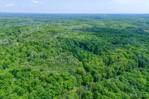 6881E Forest Road-lots 5-6, Marenisco, MI 49947