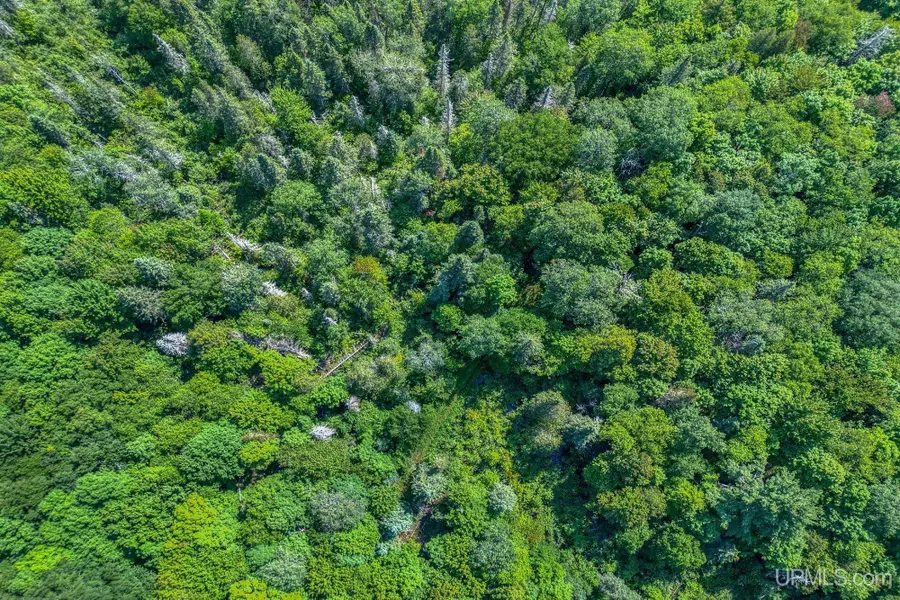 6881E Forest Road-lots 5-6, Marenisco, MI 49947 - #3