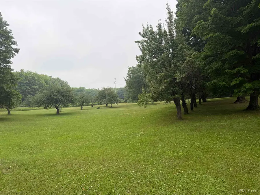 15060 County Road 505, Newberry, MI 49868 - #3