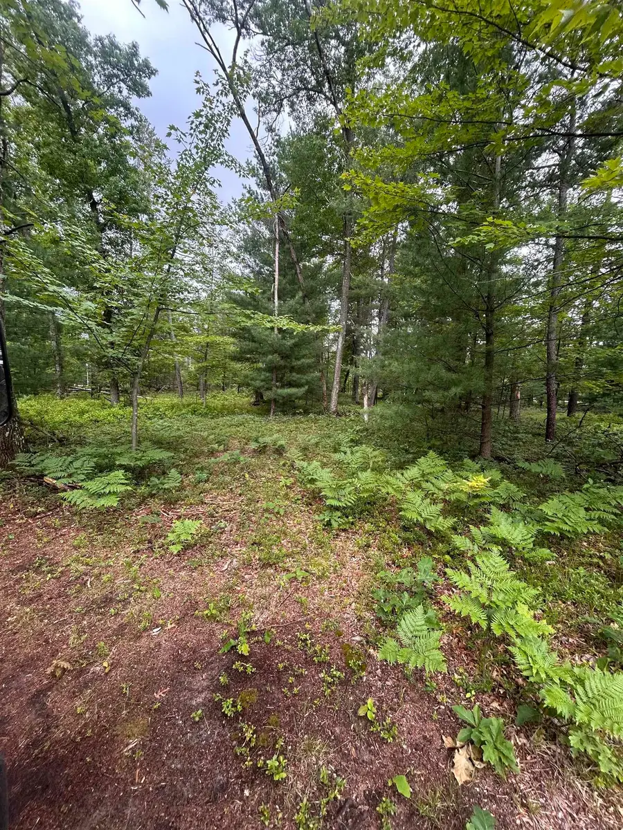 0 S. Forest Lake, Alger, MI 48610 - #2