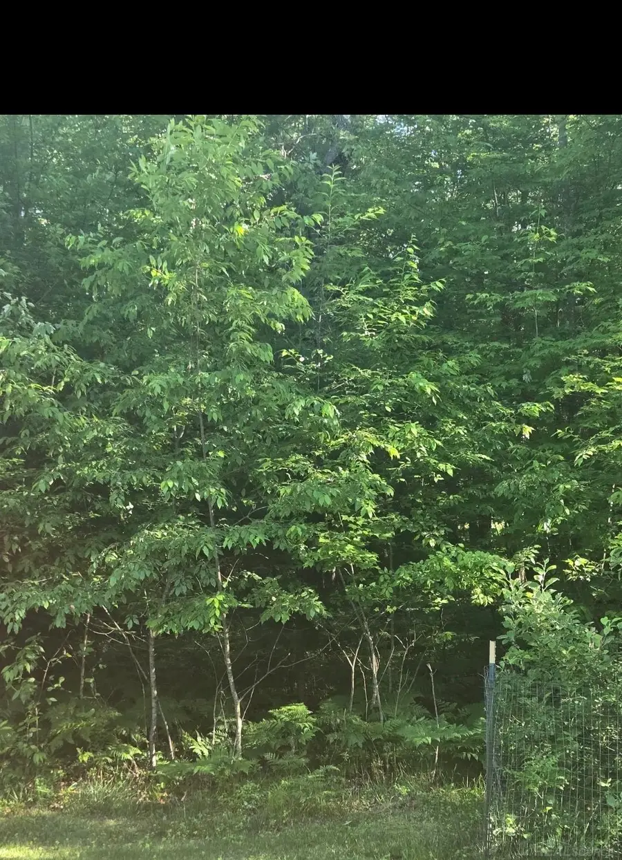 0 S. Forest Lake, Alger, MI 48610 - #3