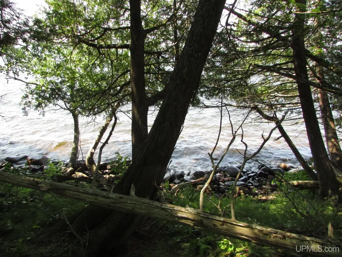 TBD East Shore Road, Marenisco, MI 49947 - #1