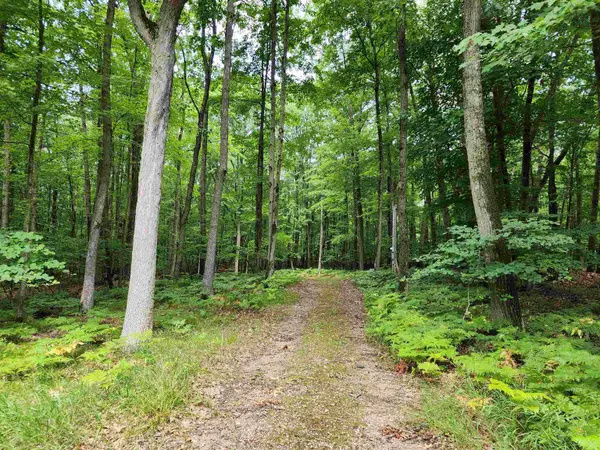 Lot 119 Elm, Farwell, MI 48622