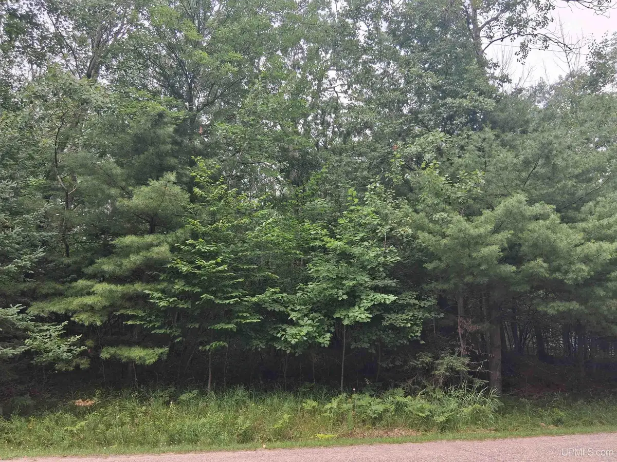 TBD Hill, Vulcan, MI 49892 - #1