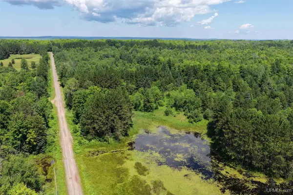 TBD Peterson, Nisula, MI 49952