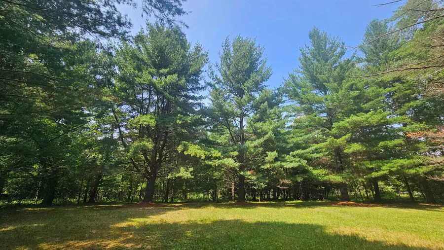 Lot 57 Berkshire, Gladwin, MI 48624 - #3