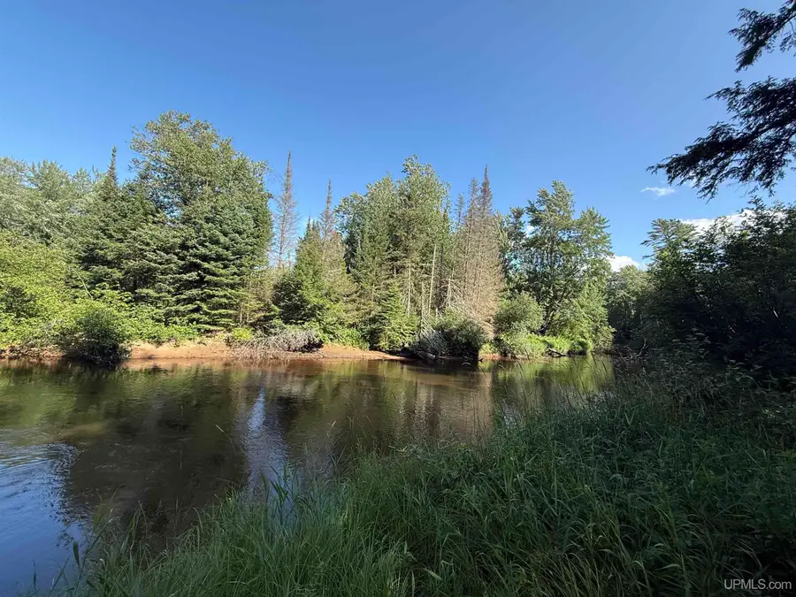 742 Beaver View, Germfask, MI 49836 - #3
