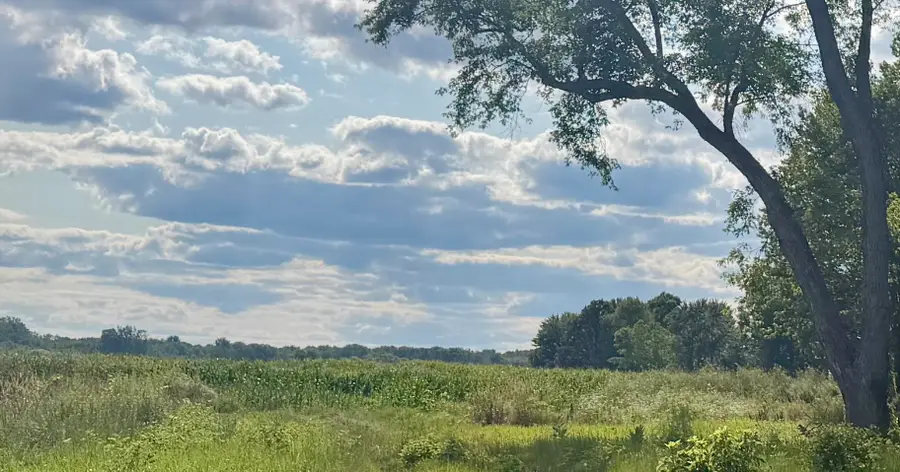 0 Peterson, Beaverton, MI 48612 - #2