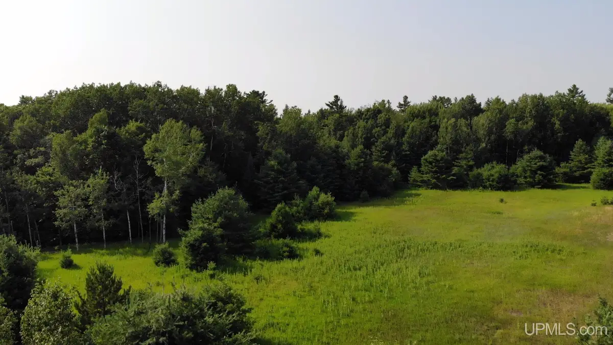 TBD1 Lower Point Mills, Dollar Bay, MI 49922 - #1