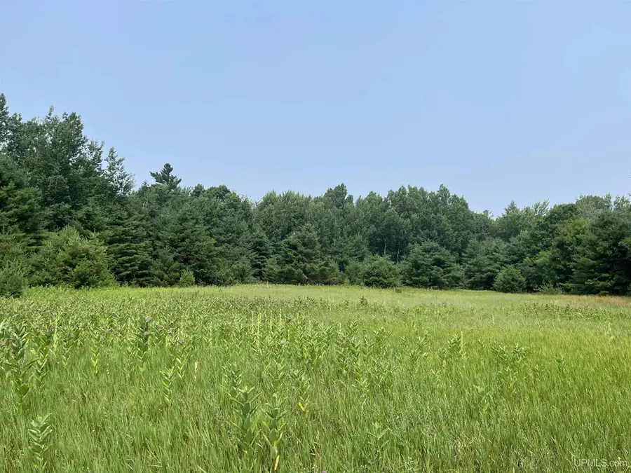 TBD1 Lower Point Mills, Dollar Bay, MI 49922 - #2