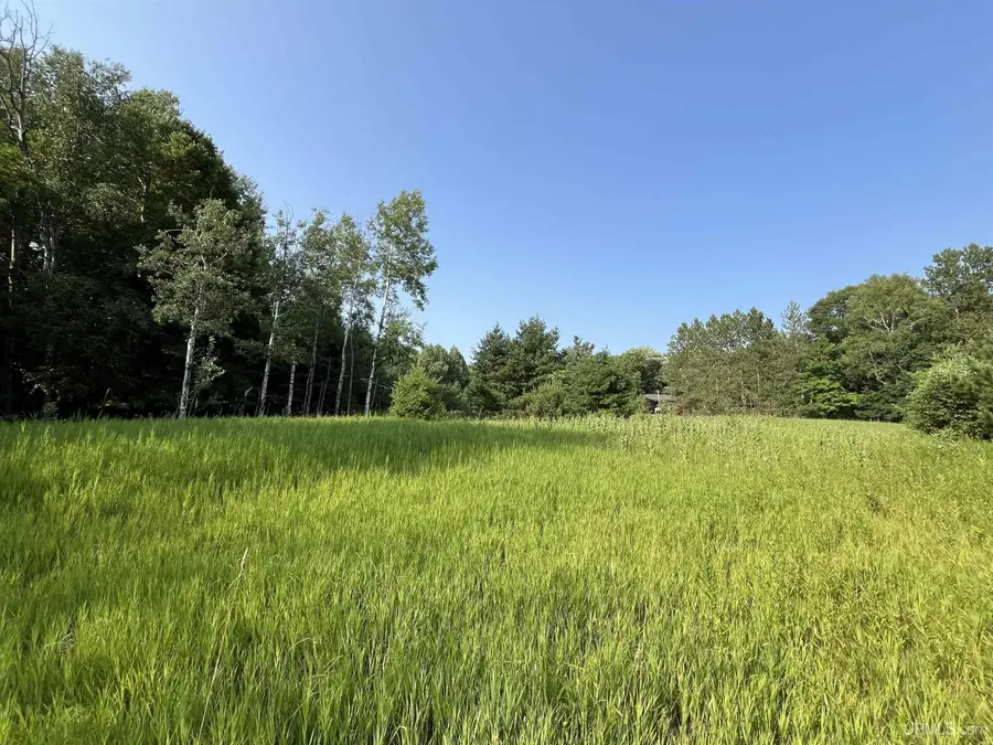 TBD1 Lower Point Mills, Dollar Bay, MI 49922 - #3