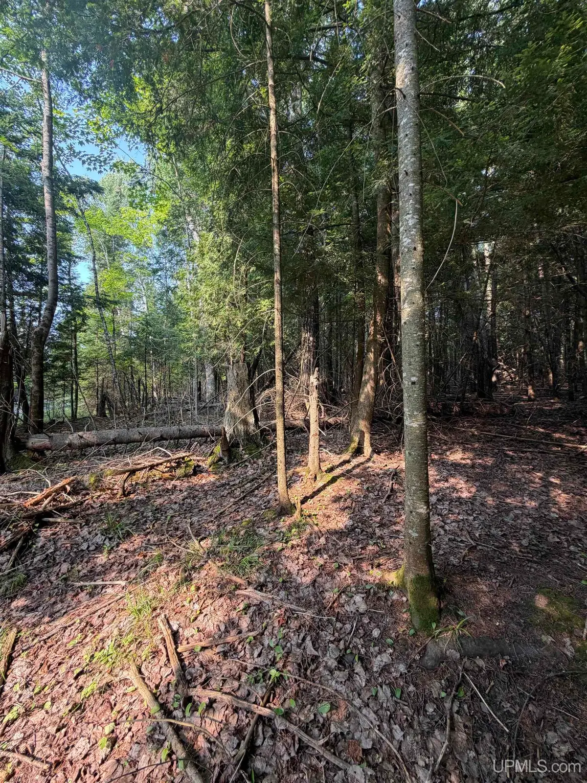 TBD5 Bayshore, Lanse, MI 49946 - #1