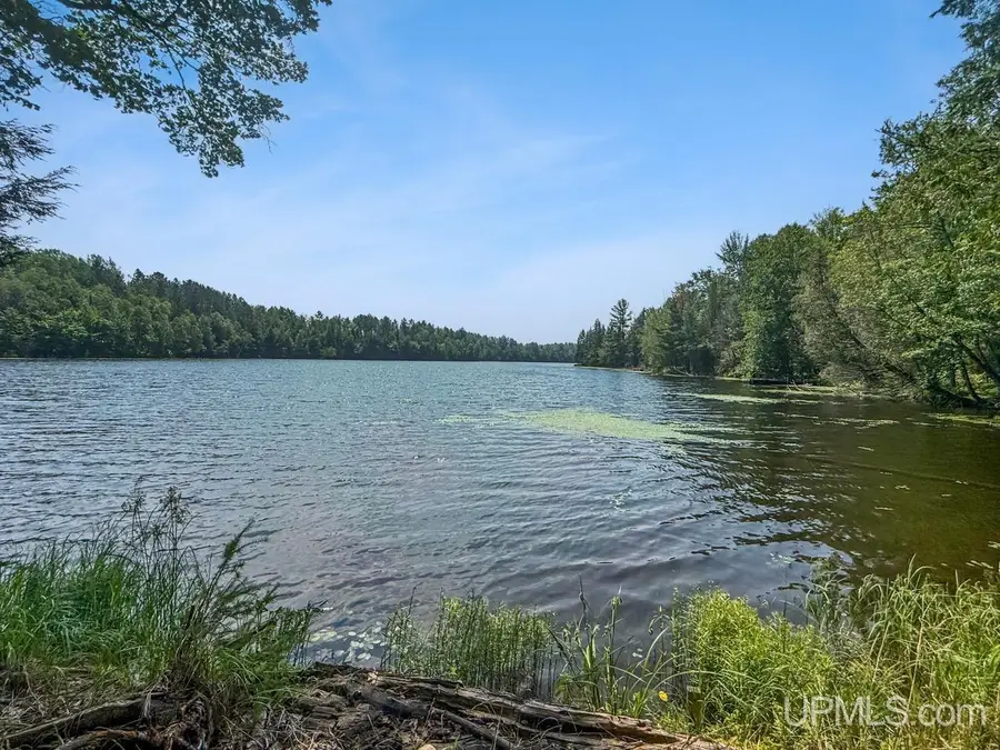489 Kalla Walla, Crystal Falls, MI 49920 - #3