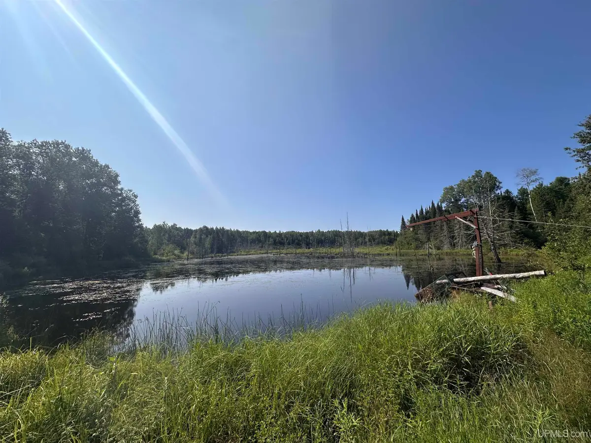 W6425 Leeman, Felch, MI 49881 - #1