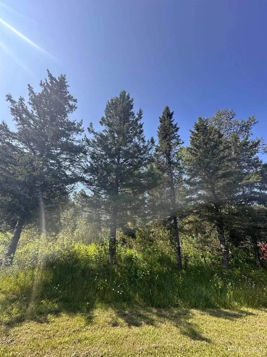 W6425 Leeman, Felch, MI 49881 - #3