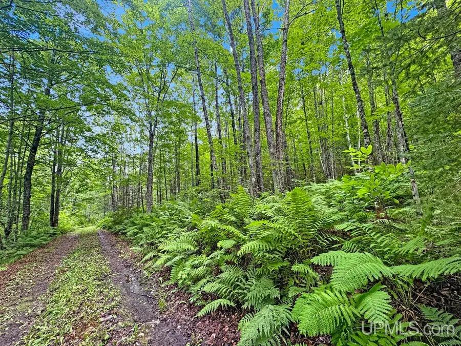 259 Kalla Walla, Crystal Falls, MI 49920 - #2