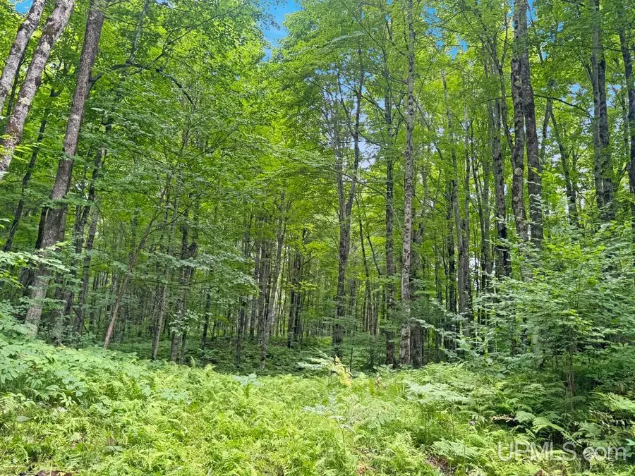 259 Kalla Walla, Crystal Falls, MI 49920 - #3