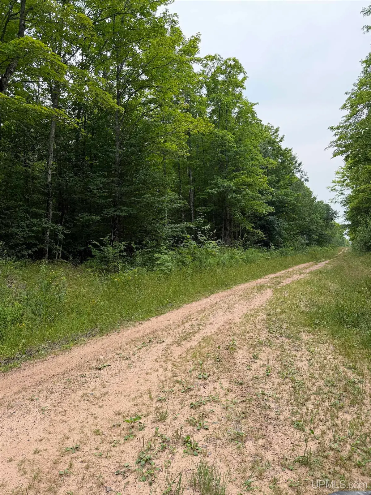 TBD8 Off Wilderness, Ontonagon, MI 49953 - #1