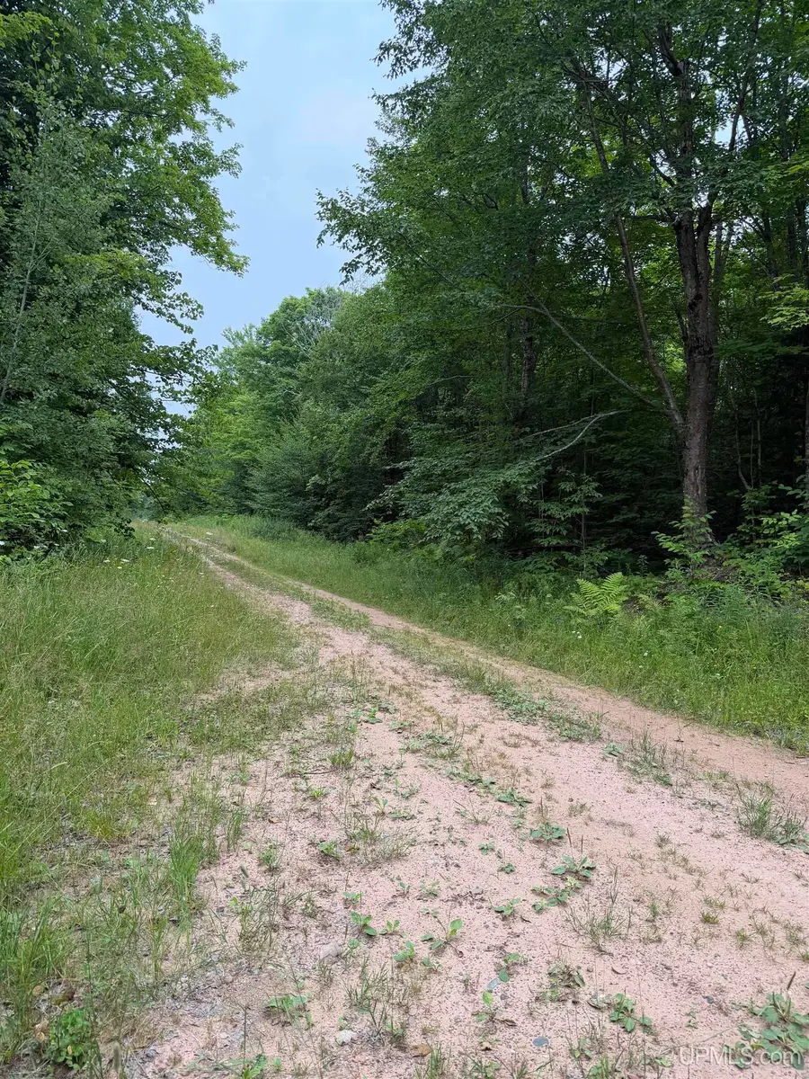 TBD8 Off Wilderness, Ontonagon, MI 49953 - #2
