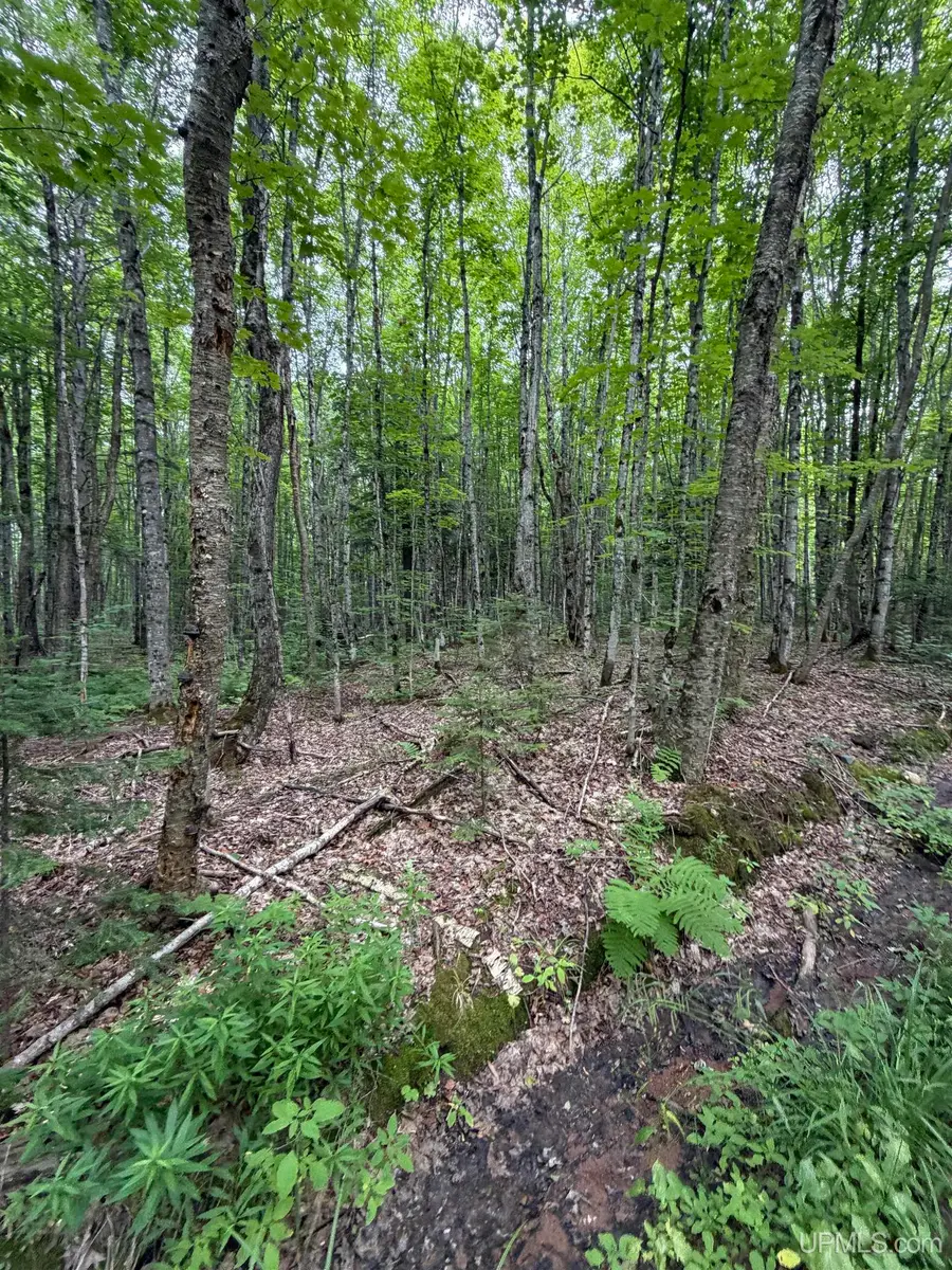 TBD8 Off Wilderness, Ontonagon, MI 49953 - #3