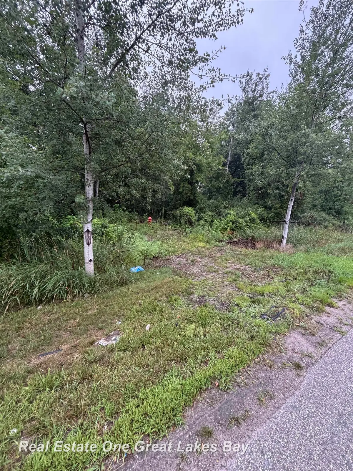 0 N Huron, Pinconning, MI 48650 - #1