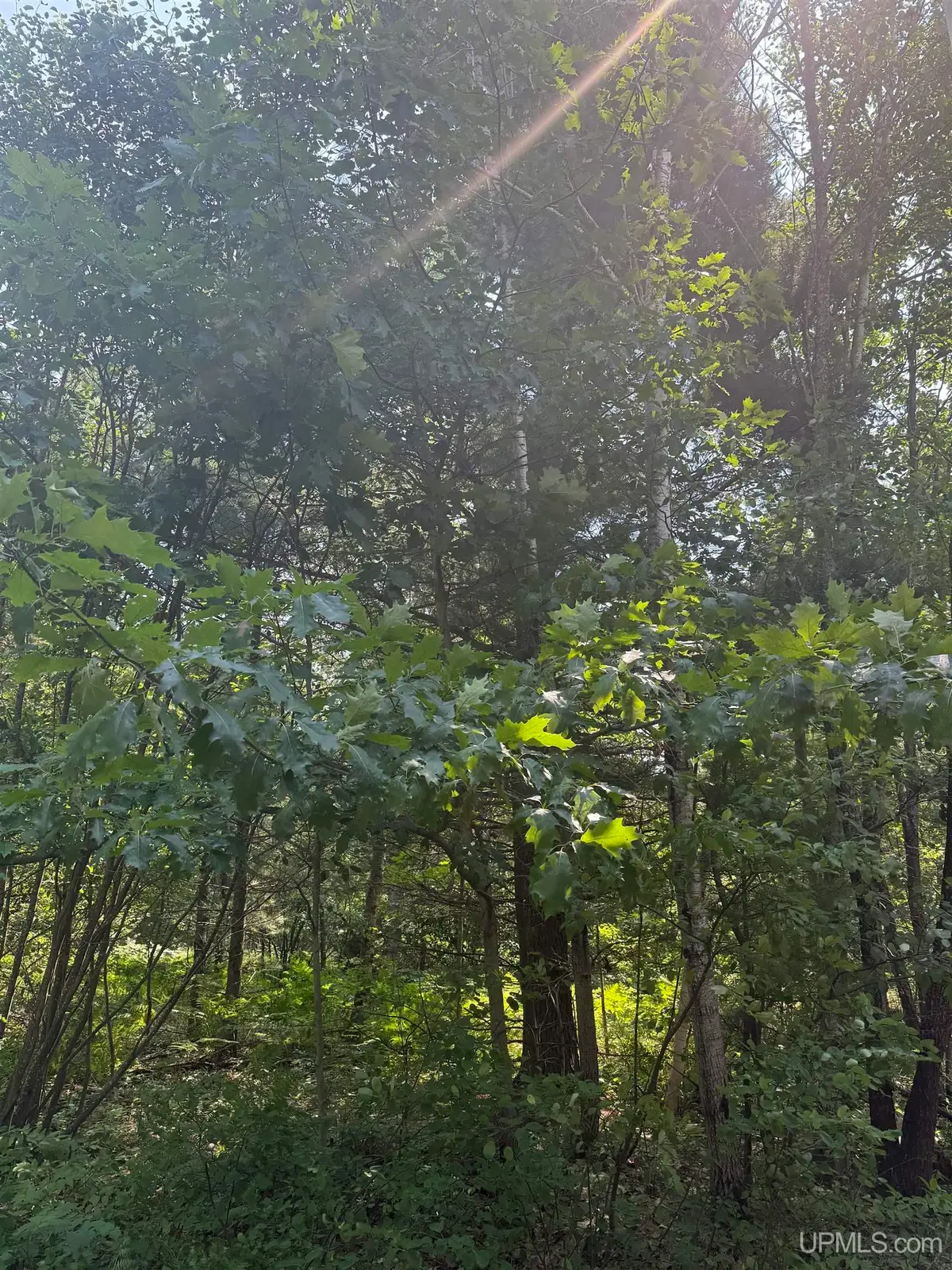 545 S Rice Lake, Gwinn, MI 49841 - #1