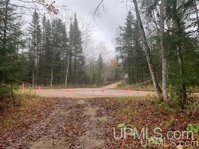 TBD Diffin, Trenary, MI 49891 - #3