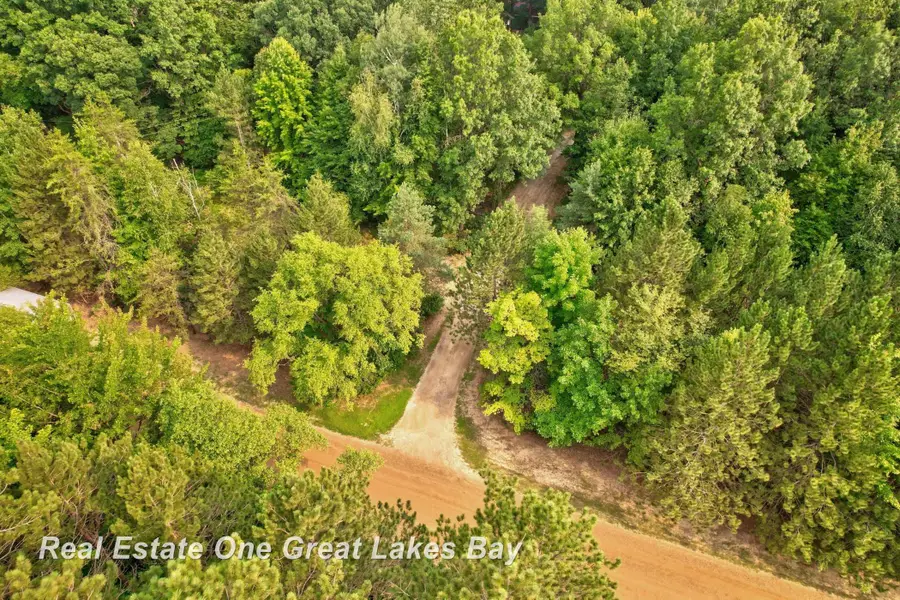17950 Schroeder, Brant, MI 48614 - #3