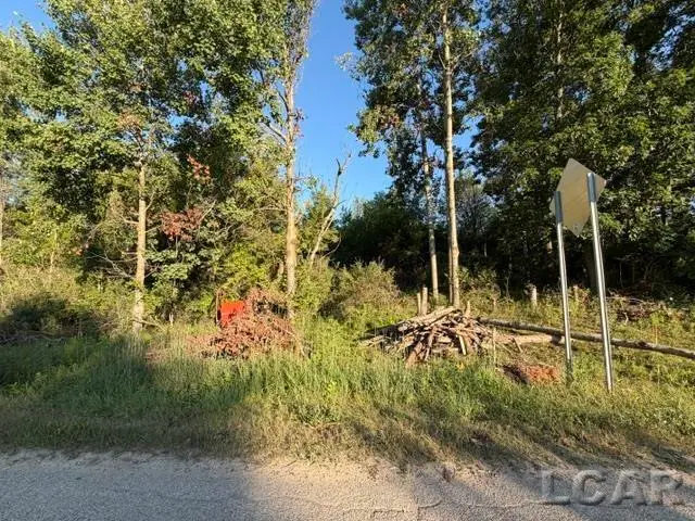 10459 Baker, Jerome, MI 49249 - #3