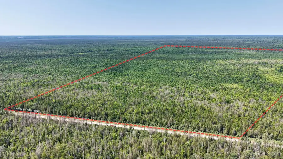 TBD E N Co Rd 415, McMillan, MI 49853 - #2