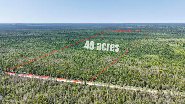 TBD E N Co Rd 415, McMillan, MI 49853
